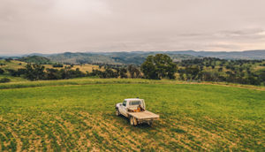 A ute in a paddock