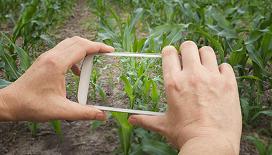 Taking a photo with a mobile phone