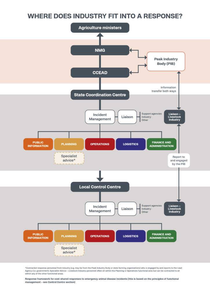 EAD response structure chart